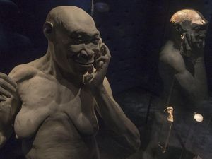 Manusia Jawa Kembali ke RI, Sisi Gelap Penemuan Pithecanthropus Erectus