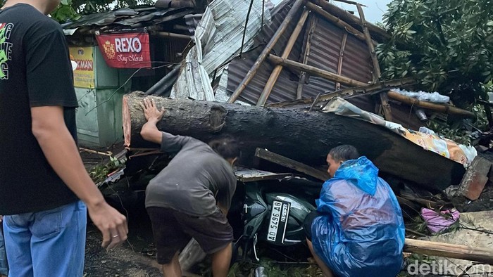 Sebuah motor tertimpa pohon tumbang di Desa Plumbon, Kecamatan Mojolaban, Kabupaten Sukoharjo, Kamis (2/10/2025).