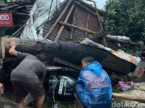 Sebuah motor tertimpa pohon tumbang di Desa Plumbon, Kecamatan Mojolaban, Kabupaten Sukoharjo, Kamis (2/10/2025).