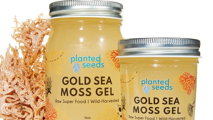Sea Moss Gel