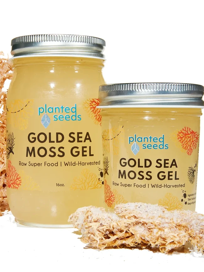 Sea Moss Gel