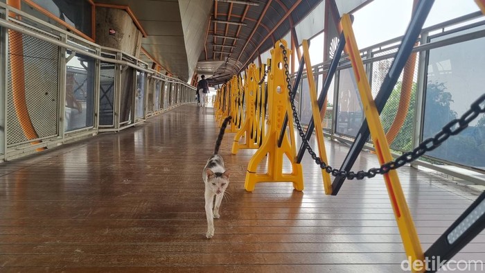 Skywalk Kebayoran Lama, Jakarta Selatan. (Taufiq/detikcom)