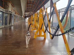 Skywalk Kebayoran Bersih-bersih dari Kotoran Kucing