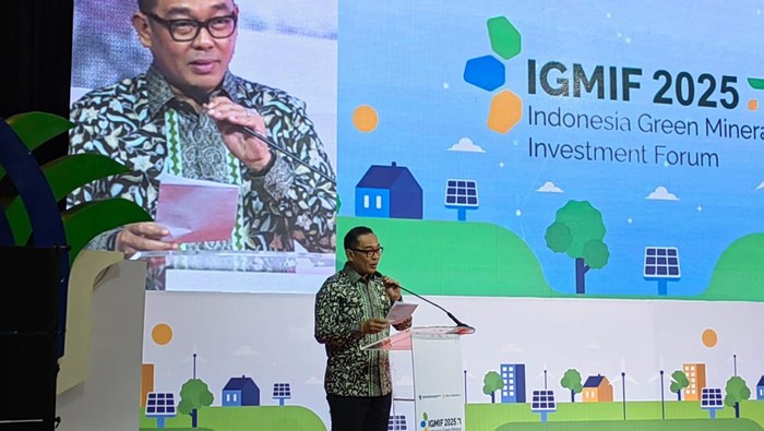 Wakil Menteri Investasi dan Hilirisasi/Wakil Kepala BKPM Todotua Pasaribu.