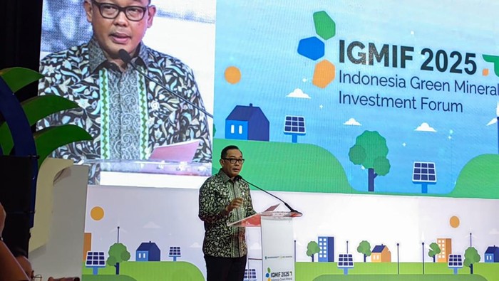 Wakil Menteri Investasi dan Hilirisasi/Wakil Kepala BKPM Todotua Pasaribu.
