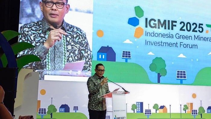 Wakil Menteri Investasi dan Hilirisasi/Wakil Kepala BKPM Todotua Pasaribu.