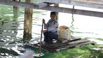 Air Bersih Belum Merata, Suku Bajo Masih Bergantung pada Jeriken Air
