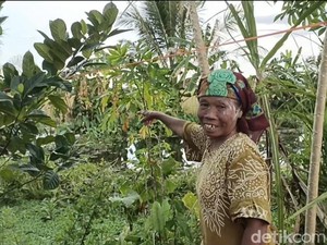 Bayi 9 Bulan di Banjar Terbawa Puting Beliung, Ditemukan 50 Meter dari Rumah
