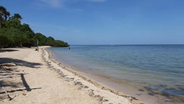 Daya Tarik Taman Nasional Baluran