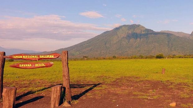 Daya Tarik Taman Nasional Baluran