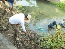 Jelang Musim Hujan, Pemprov Jatim Bersihkan Eceng Gondok Antisipasi Banjir