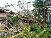 7 Rumah Rusak dan Banyak Pohon Tumbang Imbas Angin Kencang di Sukoharjo