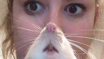 Photobombed by a rat. Foto: rosedwaterman via Bored Panda