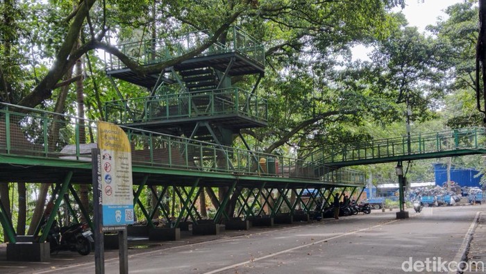 Hutan Kota Babakan Siliwangi.