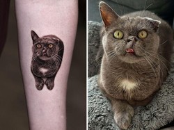 Kumpulan Tato Hewan Peliharaan, Realisme yang Sempurna