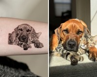 Seniman tato Yeono memiliki kemampuan yang luar biasa untuk urusan hyper-realistic tato hewan peliharaan. Berikut ini beberapa contohnya.
