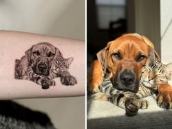 Kumpulan Tato Hewan Peliharaan, Realisme yang Sempurna