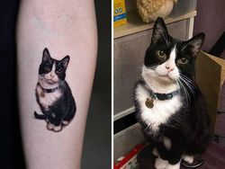 Kumpulan Tato Hewan Peliharaan, Realisme yang Sempurna