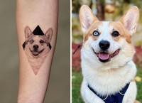 Seniman tato Yeono memiliki kemampuan yang luar biasa untuk urusan hyper-realistic tato hewan peliharaan. Berikut ini beberapa contohnya.
