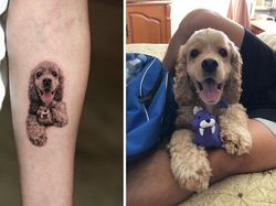 Kumpulan Tato Hewan Peliharaan, Realisme yang Sempurna