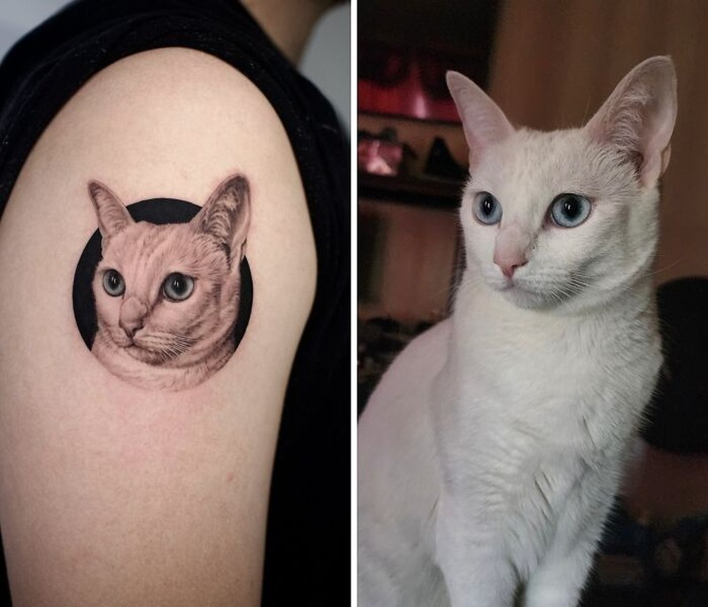 Seniman tato Yeono memiliki kemampuan yang luar biasa untuk urusan hyper-realistic tato hewan peliharaan. Berikut ini beberapa contohnya.