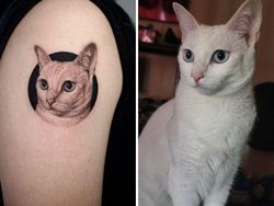 Kumpulan Tato Hewan Peliharaan, Realisme yang Sempurna