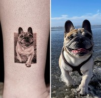 Seniman tato Yeono memiliki kemampuan yang luar biasa untuk urusan hyper-realistic tato hewan peliharaan. Berikut ini beberapa contohnya.