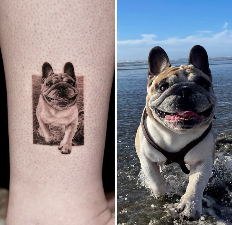 Seniman tato Yeono memiliki kemampuan yang luar biasa untuk urusan hyper-realistic tato hewan peliharaan. Berikut ini beberapa contohnya.