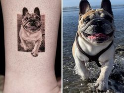 Kumpulan Tato Hewan Peliharaan, Realisme yang Sempurna