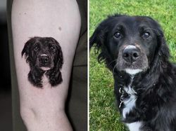 Kumpulan Tato Hewan Peliharaan, Realisme yang Sempurna