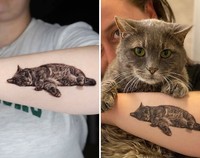Seniman tato Yeono memiliki kemampuan yang luar biasa untuk urusan hyper-realistic tato hewan peliharaan. Berikut ini beberapa contohnya.