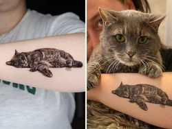 Kumpulan Tato Hewan Peliharaan, Realisme yang Sempurna