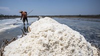 Tumpukan garam di atas tambak garam rakyat Jepara. Penurunan produksi membuat harga garam di tingkat petani berpotensi terdorong naik. Foto: ANTARA FOTO/Aprillio Akbar