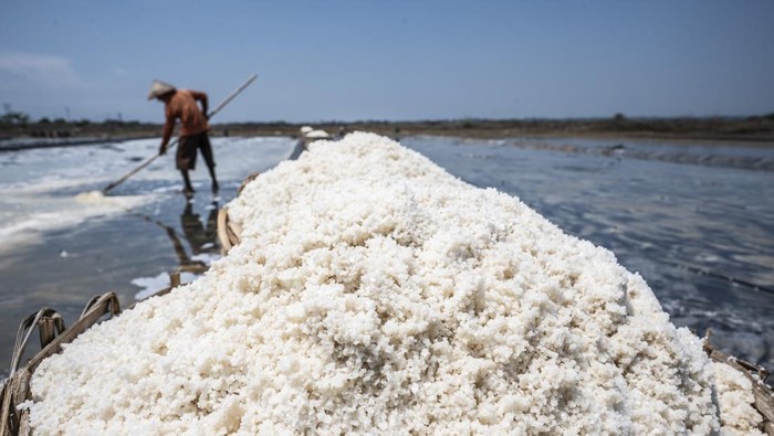 Petani memanen garam di area tambak garam rakyat, Desa Bulakbaru, Kedung, Jepara, Jawa Tengah, Kamis (2/10/2025). Menurut sejumlah petani setempat produksi garam menurun pada musim panen dari yang biasanya mencapai 1.000 karung (40 kilogram per karung) menjadi hanya sekitar 500 karung karena hujan yang masih sering turun sehingga mengganggu proses produksi. ANTARA FOTO/Aprillio Akbar/agr