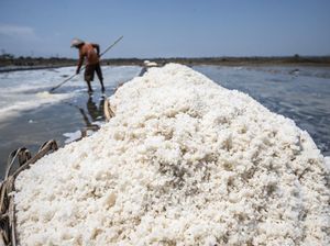 Pengusaha Teriak Harga Garam RI Mahal, Kalah Jauh dari Australia-India