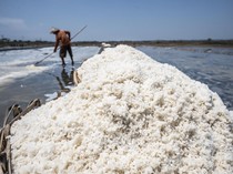 Produksi Garam RI Turun, Baru 1 Juta Ton