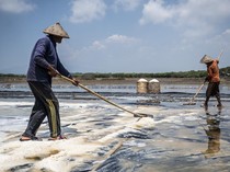 Cuaca Ekstrem Bikin Produksi Garam Diprediksi Cuma 1 Juta Ton Tahun Ini