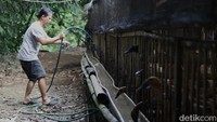 Selain itu, keterbatasan modal turut menjadi tantangan bagi pelaku UMKM peternakan. 