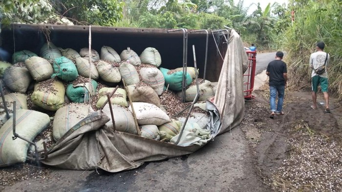 Posisi mobil truk yang membawa 10 ton kulit kemiri terbalik