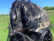 Misteri Benda Berbulu dari Angkasa Jatuh di Lahan Pertanian