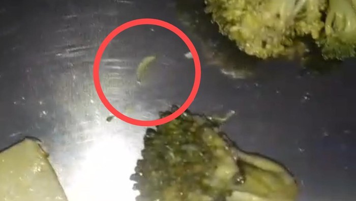 Siswa menemukan ulat dalam menu sayur MBG SDN Maricaya II Makassar.