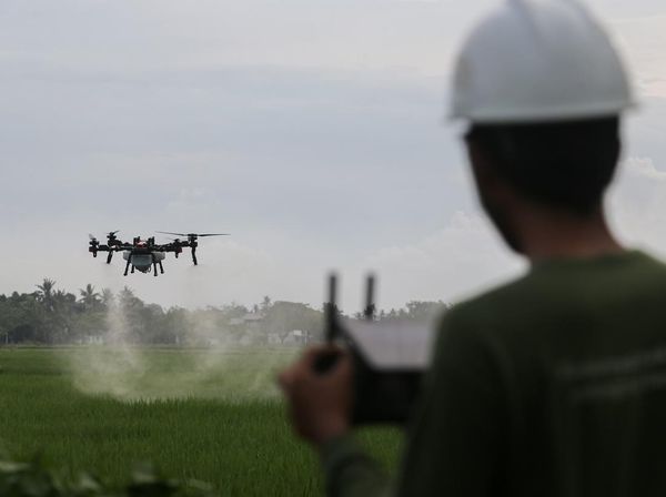 Sawah di Banten Disemprot Drone, Petani Tinggal Duduk Manis
