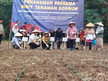 Jabar Dorong Pengembangan Sorgum Jadi Komoditas Strategis