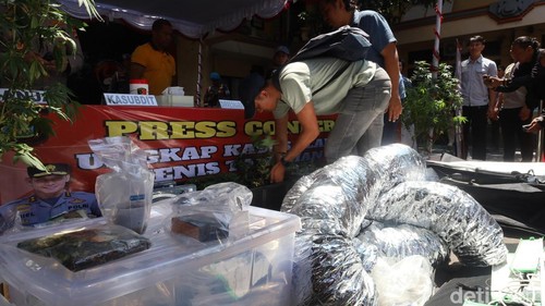 Barang bukti tanaman ganja dan paket ganja dalam rilis di Mapolda Bali, Jumat (3/10/2025).