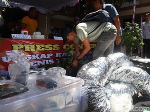 Wanita Rusia Ngaku Tak Kuasa Larang Suaminya Tanam Ganja di Kontrakan