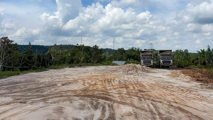 Ada Tambang Batu Bara Ilegal hingga Perambahan Hutan di Kawasan IKN