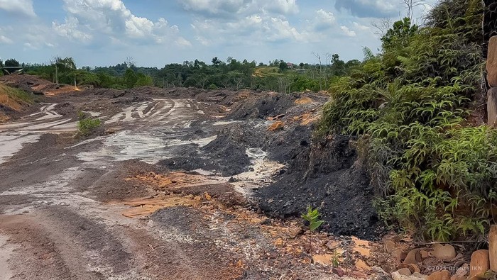 Ada Tambang Batu Bara Ilegal hingga Perambahan Hutan di Kawasan IKN