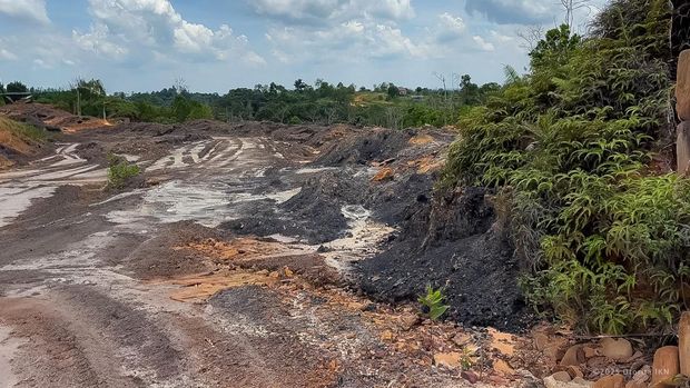Ada Tambang Batu Bara Ilegal hingga Perambahan Hutan di Kawasan IKN