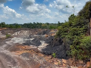 Terkuak! Tambang Ilegal di IKN Luasnya 4.000 Ha
