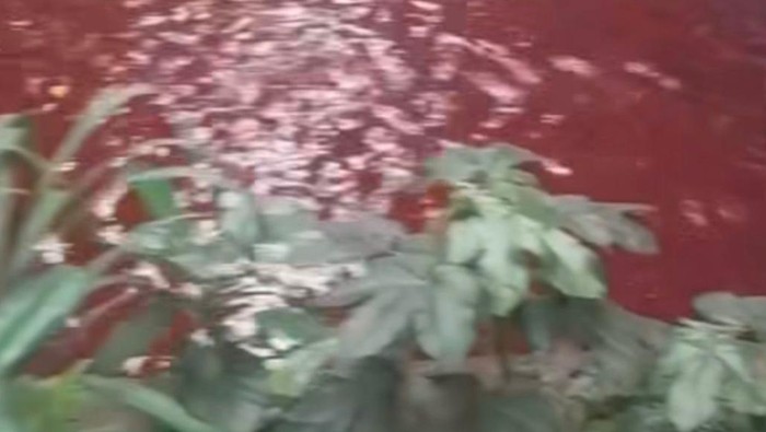 Air kali di Serpong tangsel berwarna merah